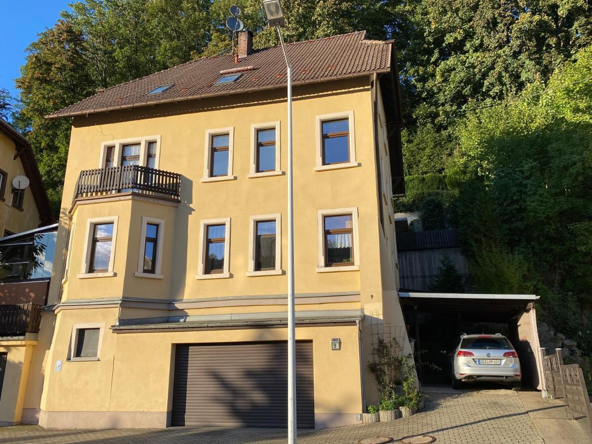 Waldblickwohnung Mit Schoener Terrasse Und Kamin زبنيتس المظهر الخارجي الصورة