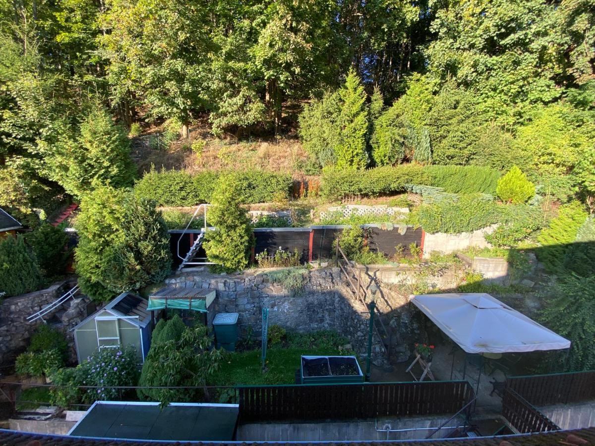 Waldblickwohnung Mit Schoener Terrasse Und Kamin زبنيتس المظهر الخارجي الصورة