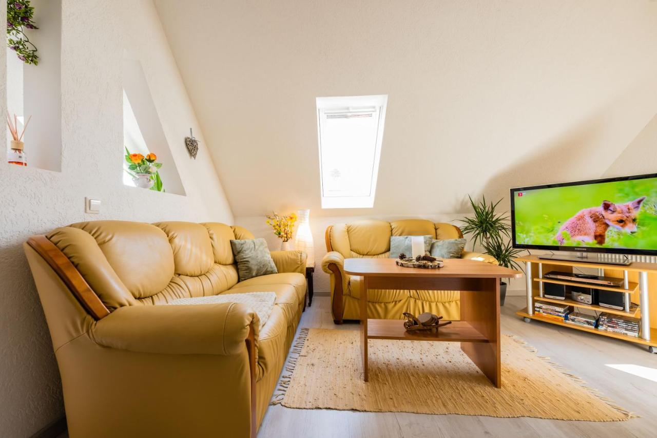 Waldblickwohnung Mit Schoener Terrasse Und Kamin زبنيتس المظهر الخارجي الصورة