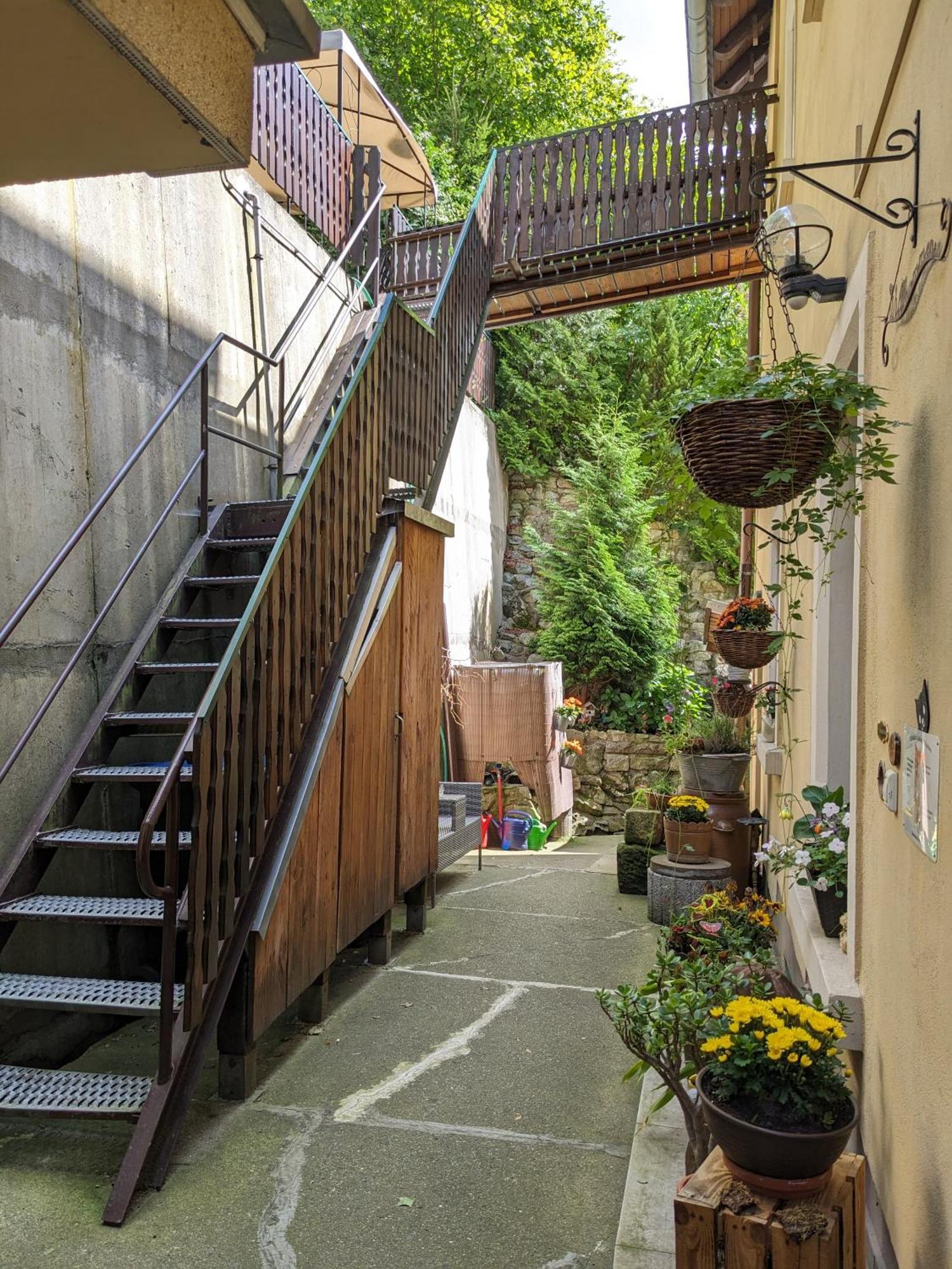 Waldblickwohnung Mit Schoener Terrasse Und Kamin زبنيتس المظهر الخارجي الصورة