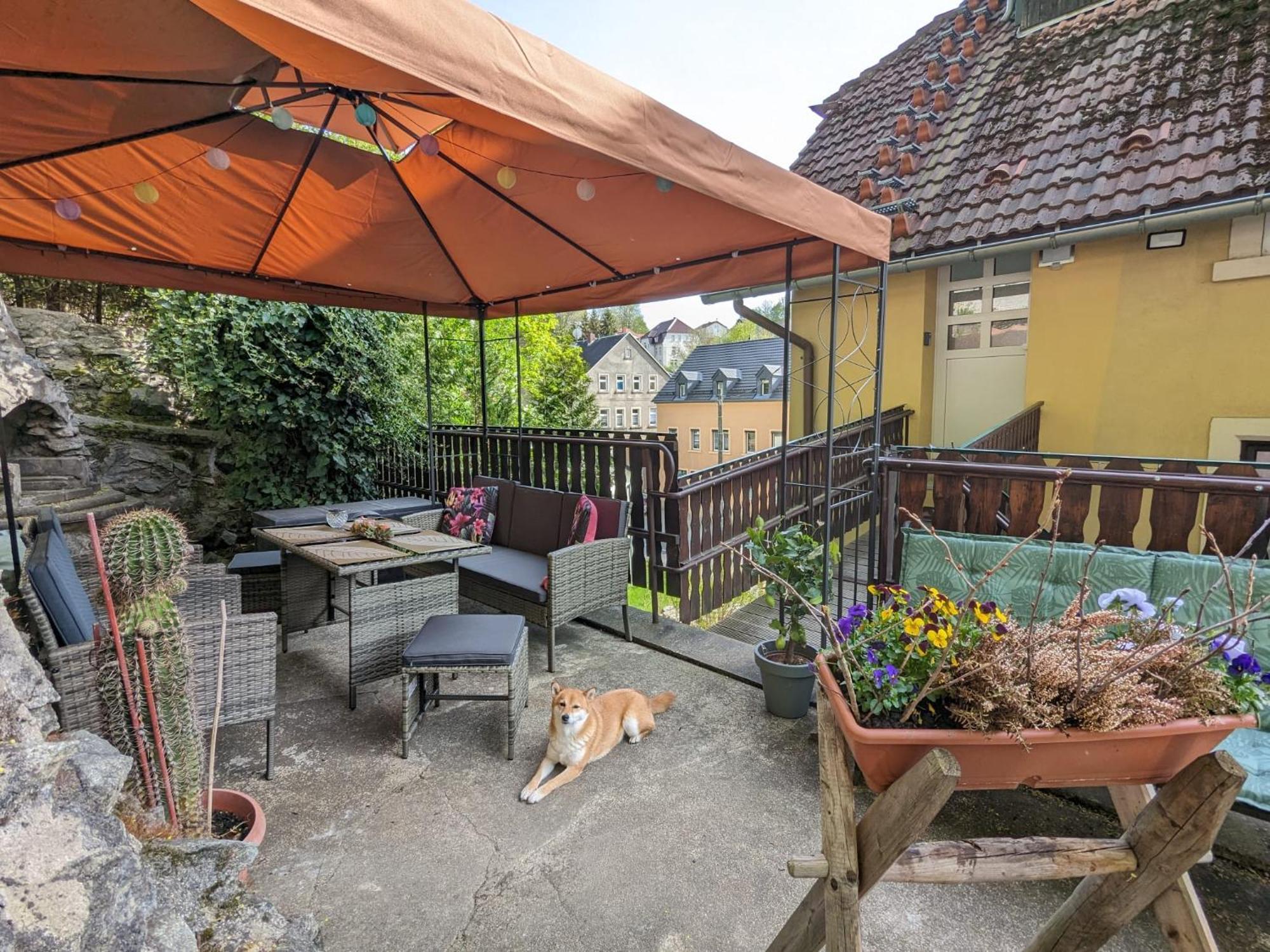 Waldblickwohnung Mit Schoener Terrasse Und Kamin زبنيتس المظهر الخارجي الصورة