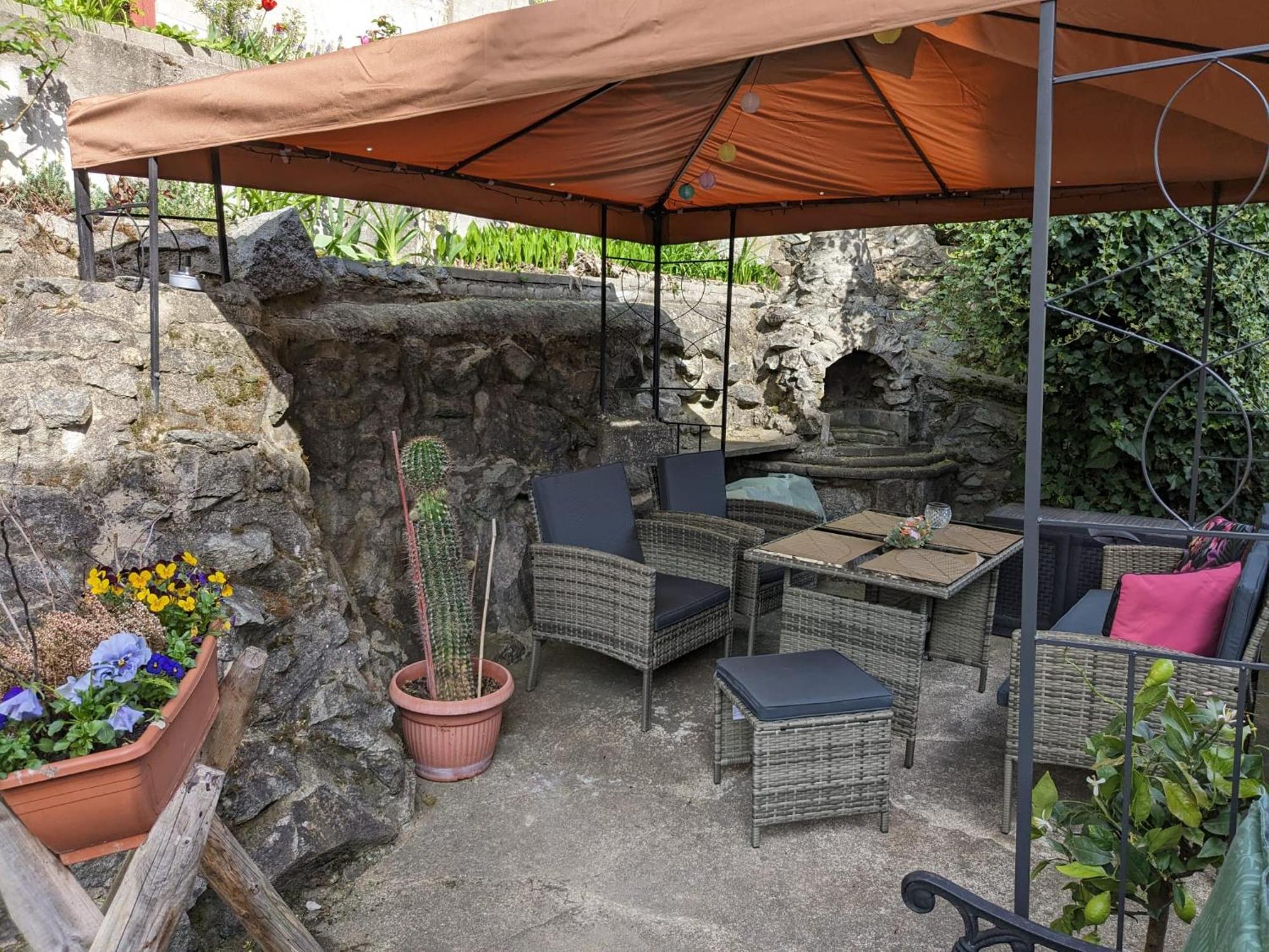 Waldblickwohnung Mit Schoener Terrasse Und Kamin زبنيتس المظهر الخارجي الصورة